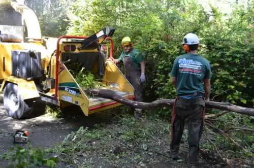 tree services Mojave